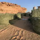 يوجد اعلاف رودس كبير