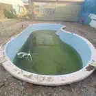 مسبح