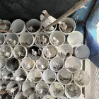 حمام زاجل على السوم والجازم واتس اب