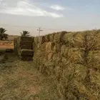 اعلاف بلوبنك جديد
