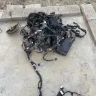 ظفيره كامله كورلا 2021
