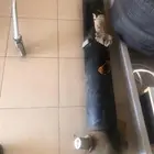 بستم قلاب هيفاء نضيف للبيع
