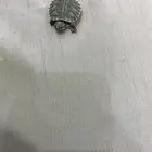 سلحفاء صغيره ا