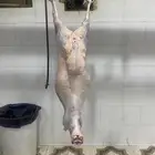 شامل الذبح والتوصيل داخل احياء المدينه المنور