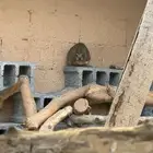 وبر وبران محمية للبيع