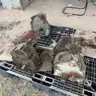 دينموات رشاش زماتك