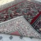 زولية بلجيكي