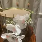 صواني تقديم