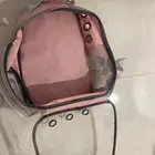 قطوه