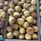 مناصيف حوشانه