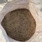 بذور رودس انتاج جديد