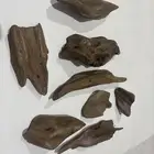 مروكي اصقوان