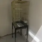 قفص طيور ممتاز كبير
