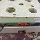 فقاسة للبيع