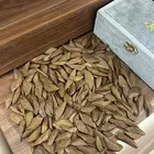 مزاد الجملة على عود مروكي محسن