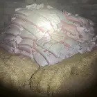 اكياس قمح بر 40 كليو العدد 122 كيس