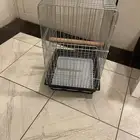 قفص كاسكو للبيع