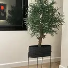 شجرة زيتون صناعيه بجذع طبيعي (اعمال يدويه )