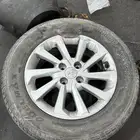 جنوط اكسنت وكاله