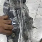 اسطبات موستنج من 2005الا2009