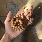 مسباح كوك