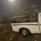 نخيل لبيع بجميع أنواعه