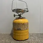 دافور هندي من السنيدي