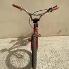 بسكليت رامبو أحمر معدل البيع على اليوم