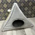 مستلزمات قطط نظيفة للبيع