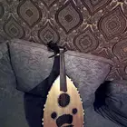 عود مصري