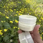 طلع لقاح النخيل 15 جرام