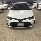 كورولا 2020 استاندر