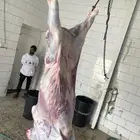 حسلان بلديه ارباع