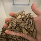 عود مروكي حجم ميني ودقة نكهة فاخرة