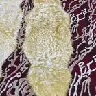 جاعد مراتب فرو طبيعي