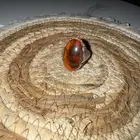 خاتم عقيق