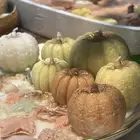 شموع الخريف