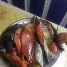 رحلات بحرية صيد نزهة كاستنج شباب عائلات