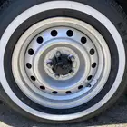 جنوط هالكس وكاله للبيع