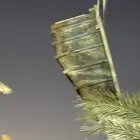 مسبح مع الفلتر والماطور