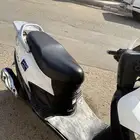دباب