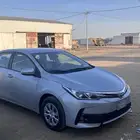 كورلا 2019