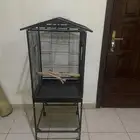 قفص كبير مع ستاند