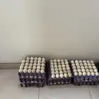 بيض بط