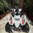 دباب سويدي 100 نظيف على الشرط