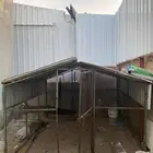 شبوك للبيع