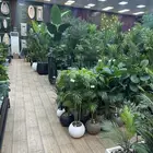 أشجار صناعية بأشكال مختلفه