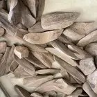 عود مروكي طبيعي (دبل وتربل) فاخر