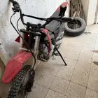 دباب صحراوي