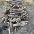 هايكس غامريتين